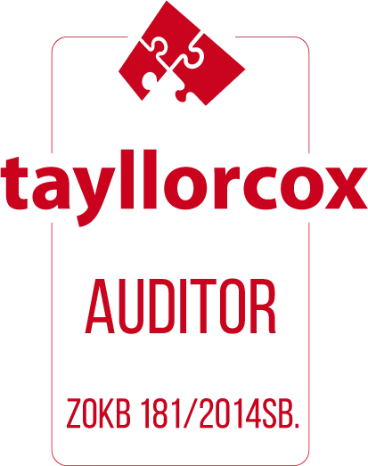 Auditor kybernetické bezpečnosti